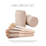 Mini Brush Set